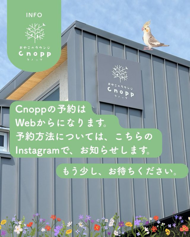 お問い合わせをいただいております予約方法ですが、Webからになります。
準備が整い次第、こちらのInstagramでお知らせします。
もう少々、お待ちください☺️